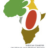 African Charter turns 30: time to celebrate, time to reflect IHRDA-ACHPR-30-brand-final-with-wording-n-logo-for-website